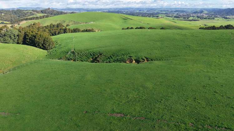 256 McIntyre Road Oromahoe_11