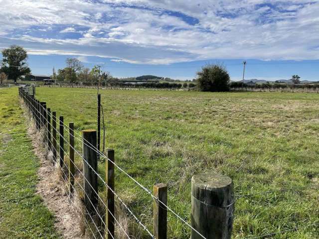 1a Elm Place Waipukurau_3