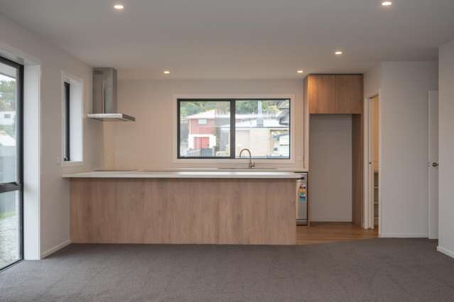 15a Royal Street Timaru_1