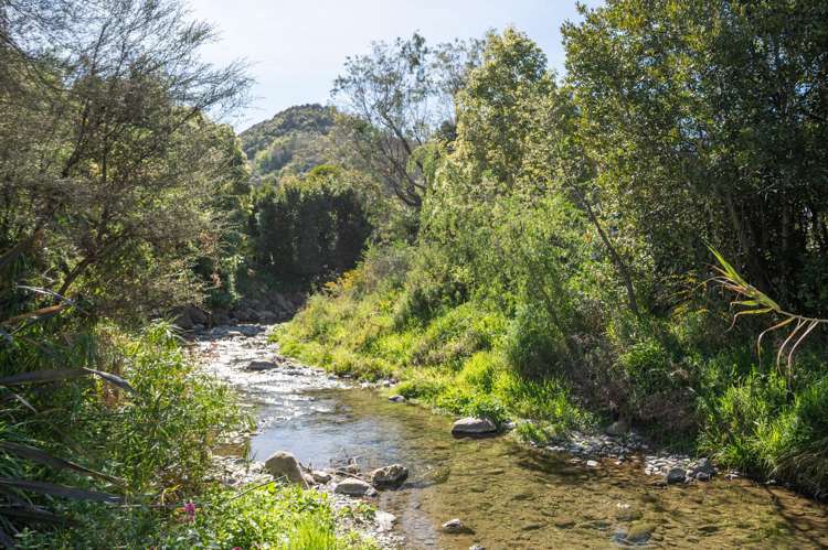 1/125b Tasman St The Wood_19