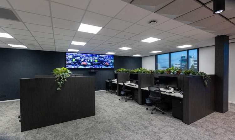 41-43 Leach Street New Plymouth_10