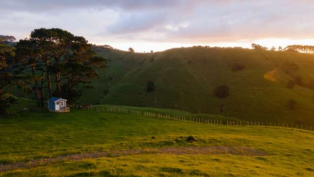 307 Dill Road Kaipara Flats_1