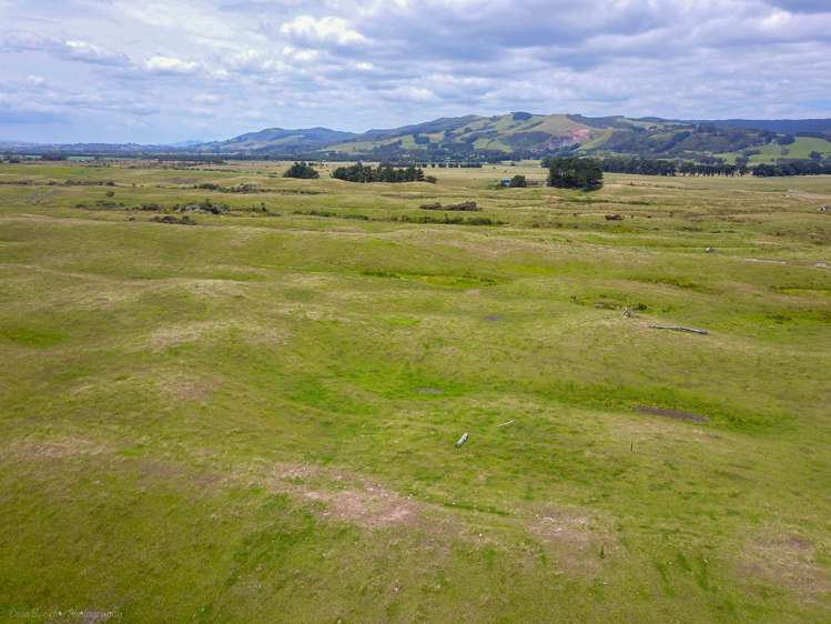 Takahe Street Masterton_8