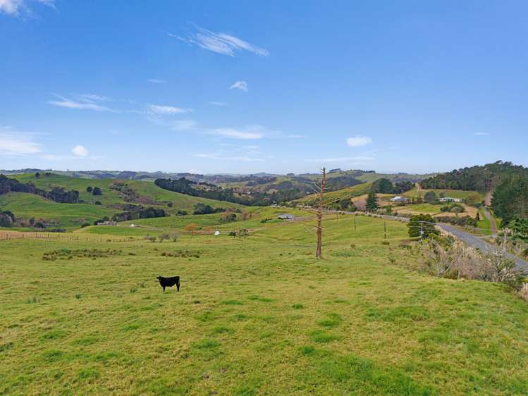 Wearmouth Road Paparoa_13