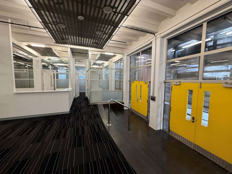 72 Dominion Road Mt Eden_5