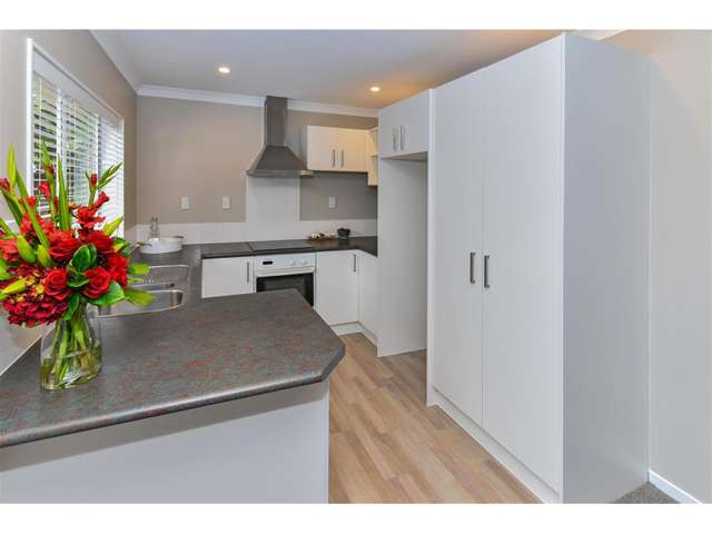 24 Etherton Drive Manurewa_3