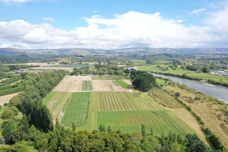 72 Pinfold Road Aokautere_21