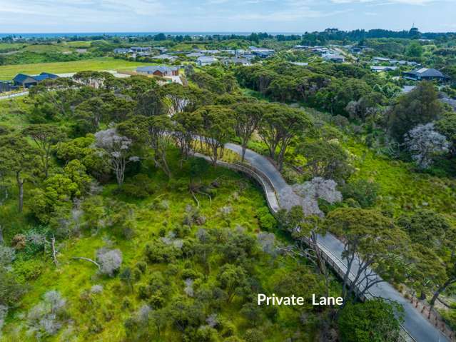 40 Anderson Park Drive Waikanae_4