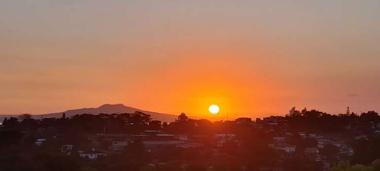 1/50 Manuka Road Glenfield_10