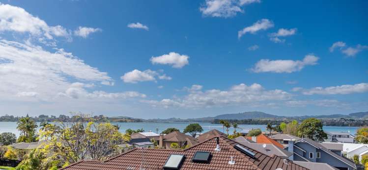 41b Harvey Street Avenues_15