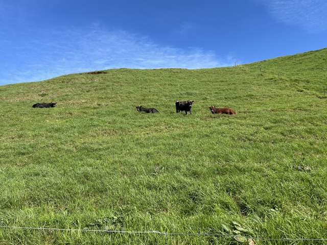 0pp/379 Corbett Road Lepperton_3