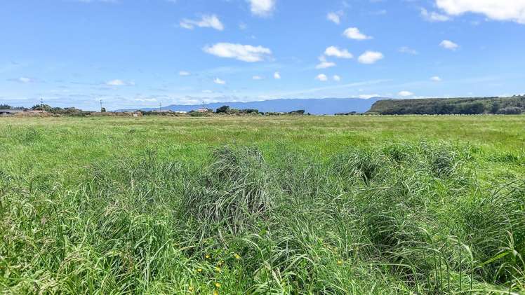 864 Papatotara Road Papatotara_4