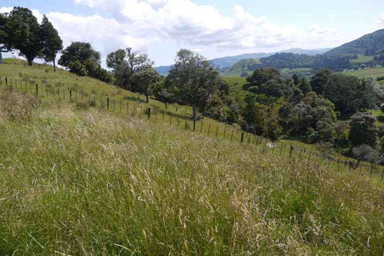 121 Guy Road Kaipara Flats_22