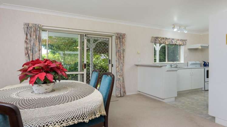 12b Alexander Street Tauranga South_8