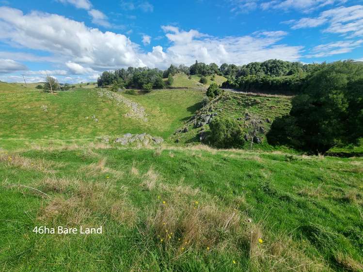 Oparure Road Te Kuiti_11