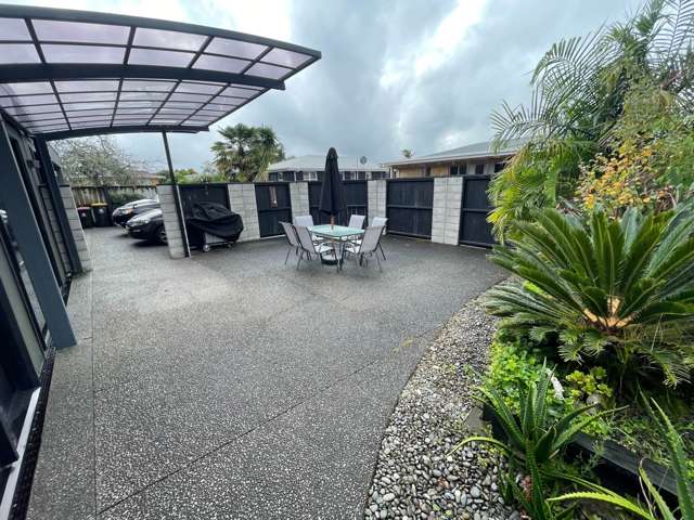 14A Vine Avenue Maungatapu_2
