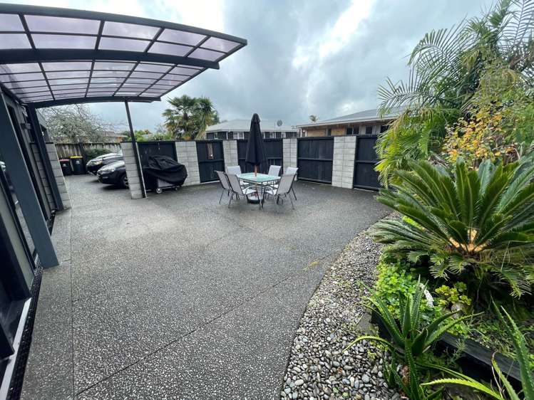 14A Vine Avenue Maungatapu_2