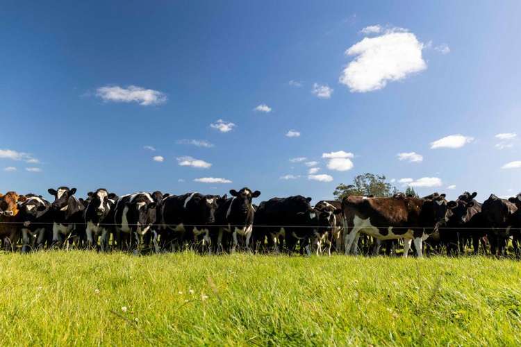 1329 Wards Road Darfield_7