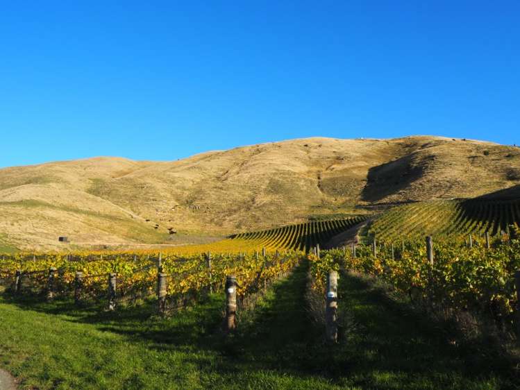 149 Wrekin Road Fairhall_16