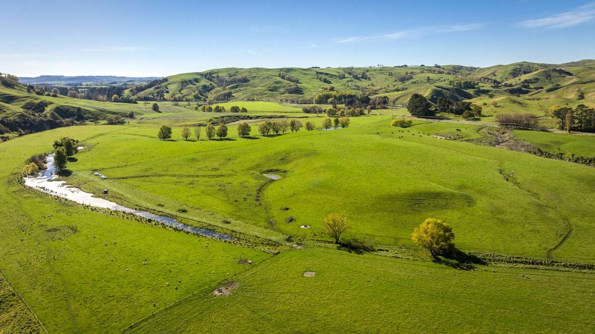 3503 Porangahau Road_1