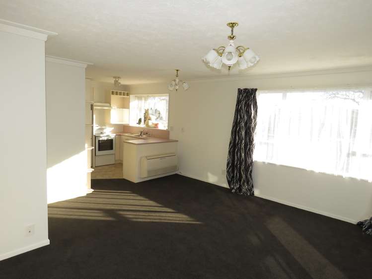 56 Maitland Street Strathern_8