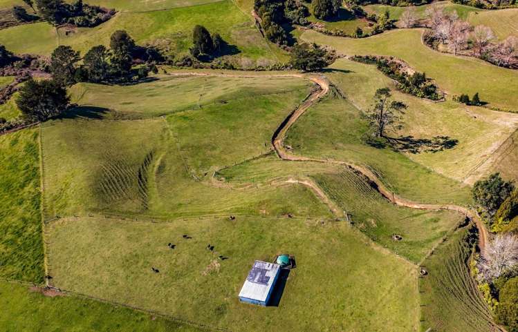 389 Wortley Road Inglewood_29
