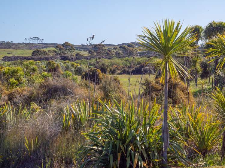 449 Matai Bay Rd Karikari Peninsula_16