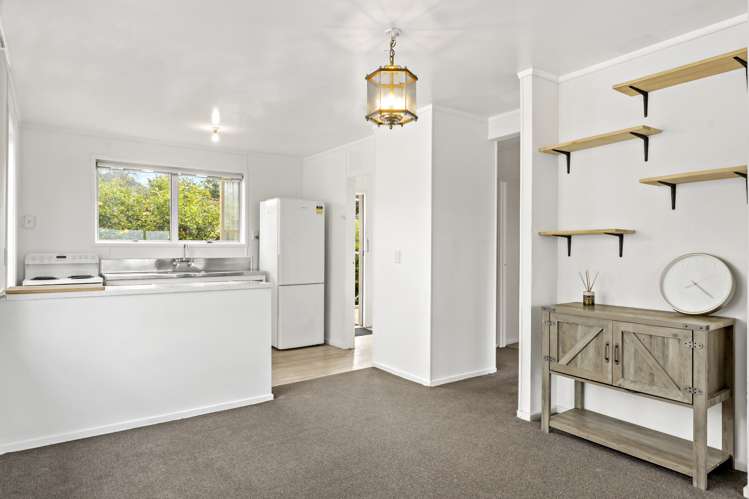 53 Gallony Avenue Massey_9