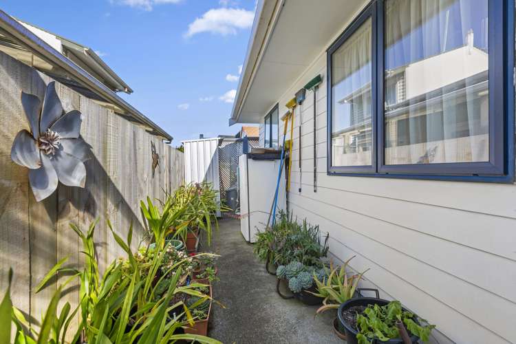 14a Bankart Street Raglan_11