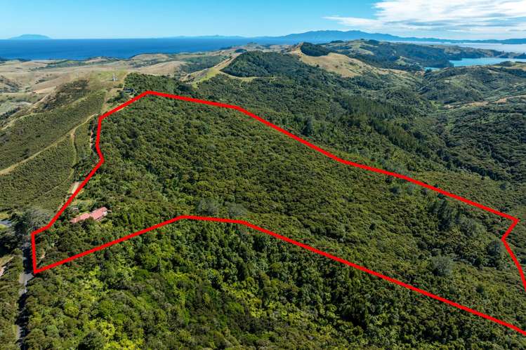 161 Orapiu Road Waiheke Island_6