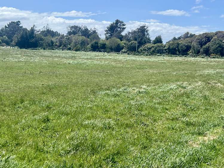 10 Amos Way Otatara_5