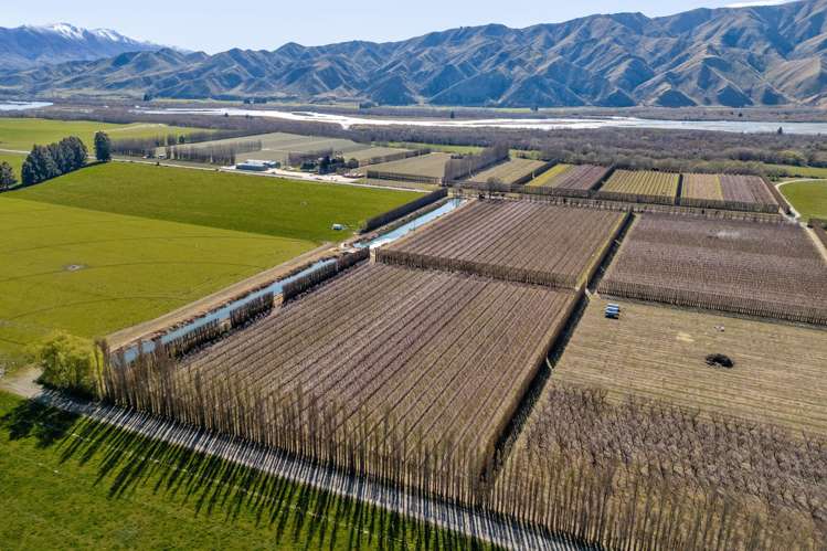 5221 Kurow Duntroon Road Duntroon_3