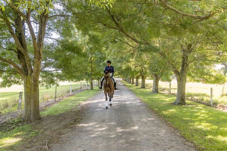 1661 North Eyre Road West Eyreton_26