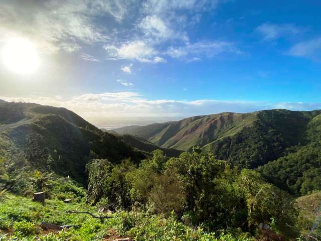 1036 Klondyke Road Port Waikato_2