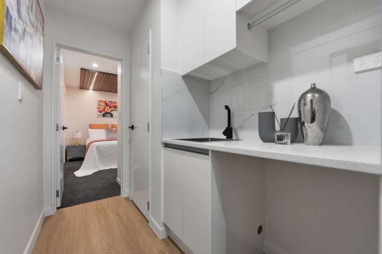 1 Puhakehake Place Flat Bush_20