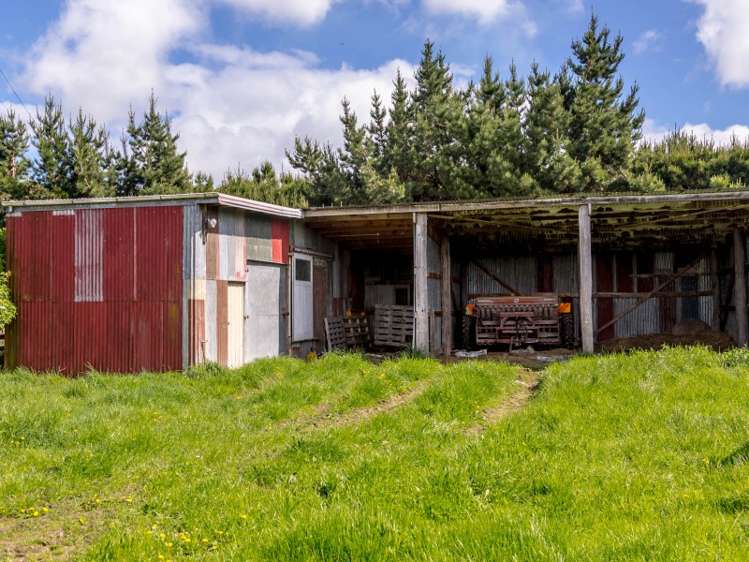 580 Hughes Line Carterton_24