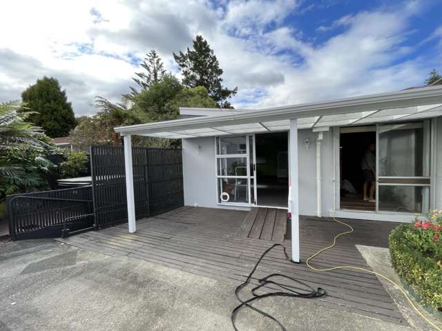 One-bedroom flat in Whanganui East