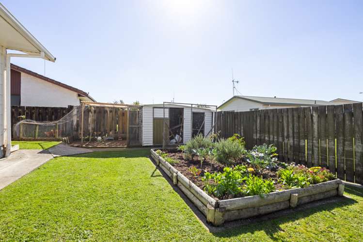 58a Aurora Terrace Hillcrest_13