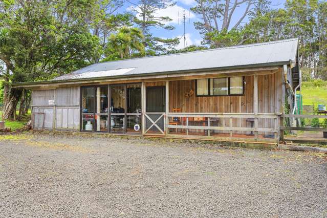 161 Horsman Road Waitakere_2