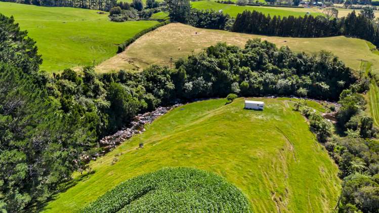 1256 Mangorei Road Mangorei_21