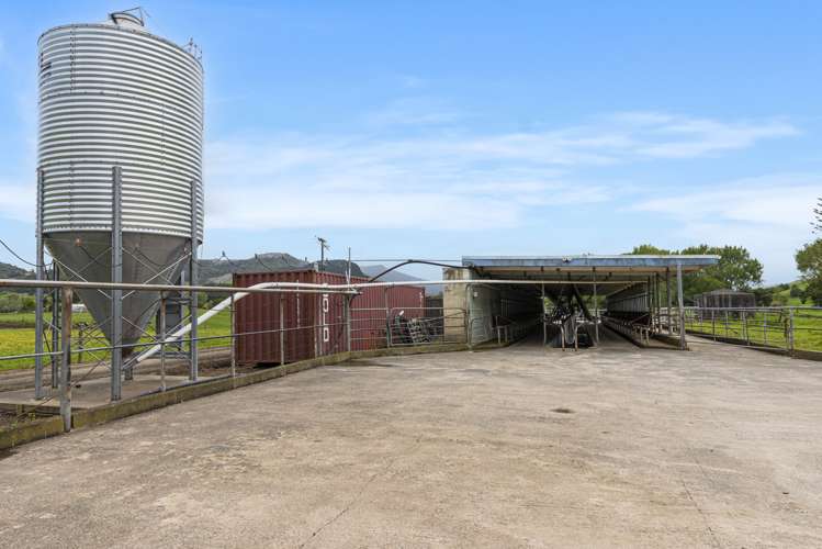 1371 Waihue Road Dargaville Surrounds_9