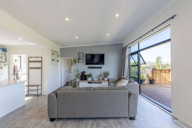 87 River Road Otane_2