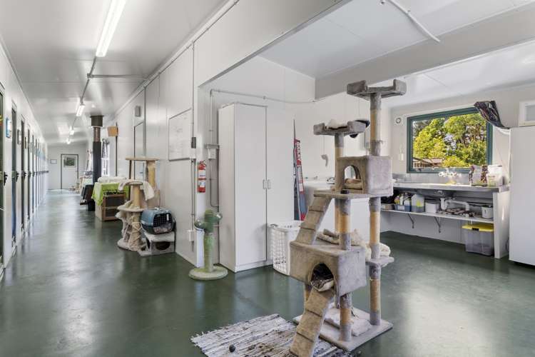 1891 South Eyre Road West Eyreton_19