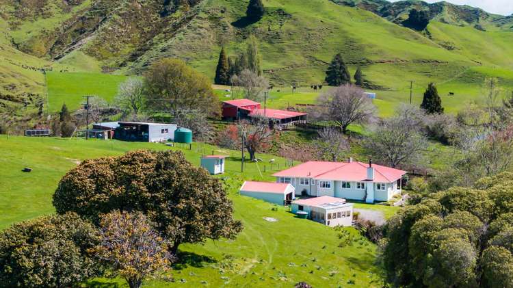 198 Brewer Road Strathmore_16