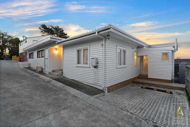 61 Glenview Road Glen Eden_1