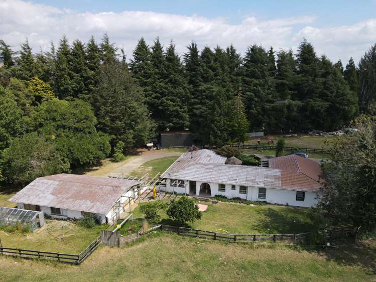 542 Tirau Road Cambridge_3