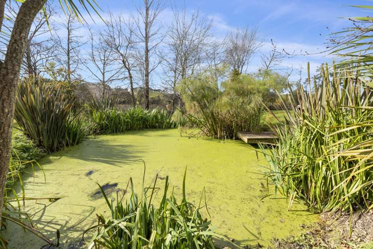 188 Hepburn Creek Road Warkworth_22