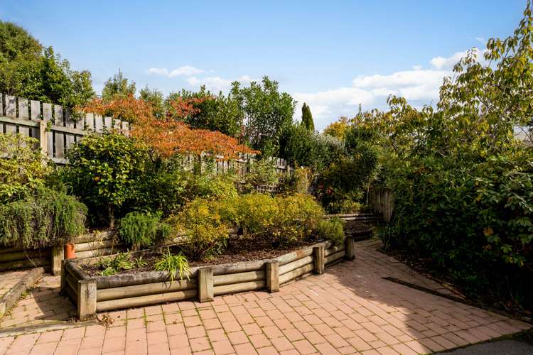 2/23a Howard Street Macandrew Bay_22