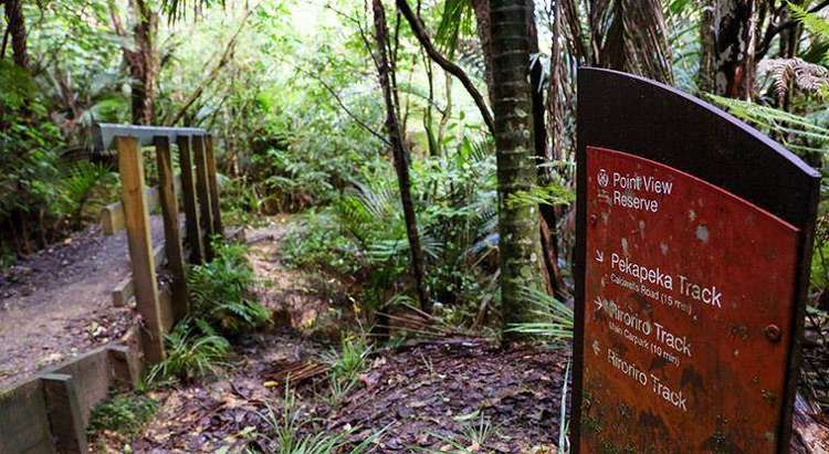 12 Ardee Close East Tamaki_23