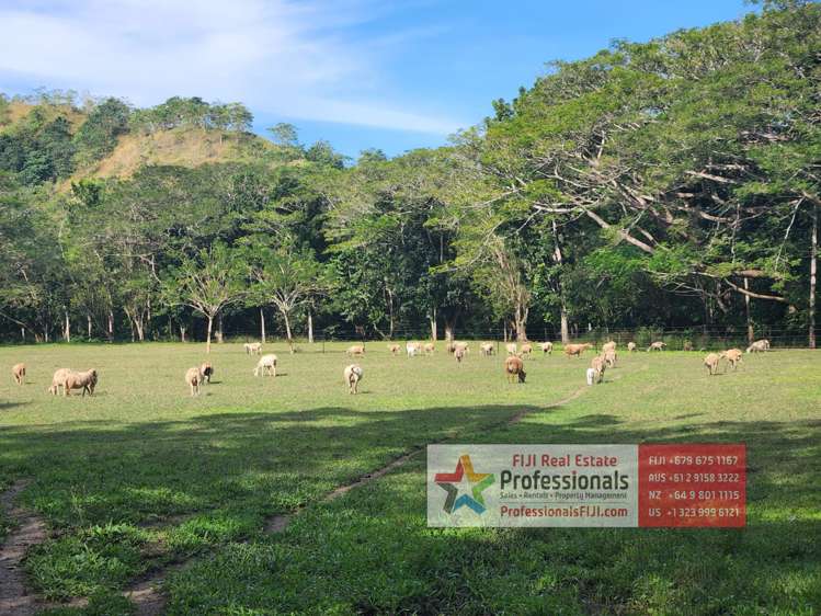 Address withheld Sigatoka_7